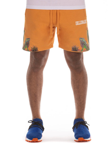 BB Cacti Short
