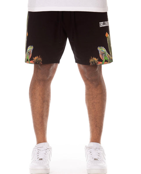 BB Cacti Short